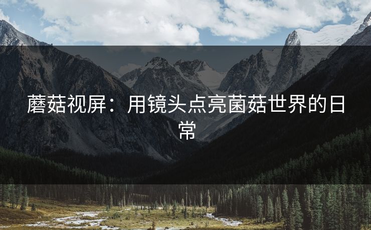 蘑菇视屏：用镜头点亮菌菇世界的日常